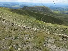 Vue du puy de Paillaret depuis le puy Ferrand.