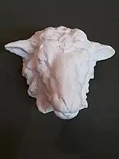 Anonyme, Tête de mouton.