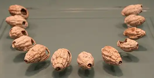 …et le collier de coquillages associé.