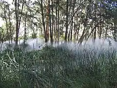 Fog Sculpture #94925: Foggy Wake in a Desert: An Ecosphere, jardin de sculptures de la Galerie nationale d'Australie, Canberra.
