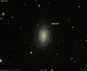Image illustrative de l’article NGC 237