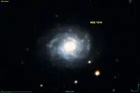 Image illustrative de l’article NGC 1310