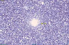 Image illustrative de l’article NGC 1916