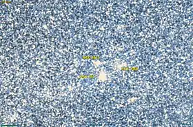 Image illustrative de l’article NGC 1972