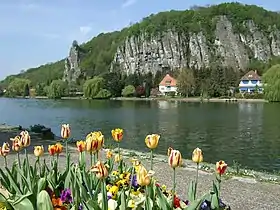 La Meuse et les rochers de Néviau.