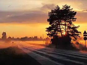 Image illustrative de l’article Route nationale 91 (Estonie)