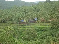 Nature à parapalliyali.