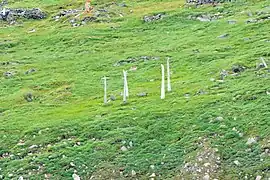 Structure en os de baleine, proximité du site de Naukan (2013)