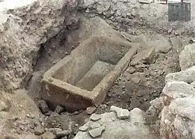 Image illustrative de l’article Celia peuceta