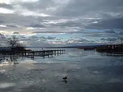 Le lac de Neusiedl en hiver