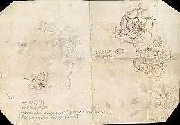 Ornementation avec motifs floraux.