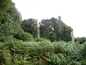 Image illustrative de l’article Château de Rustéphan