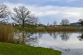 L'étang du Creux des Renards.