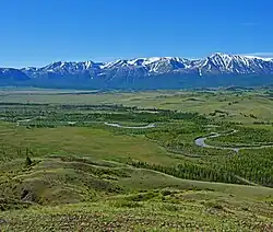 Vue d'ensemble de la steppe