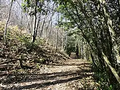 L'arboretum de la Fot.