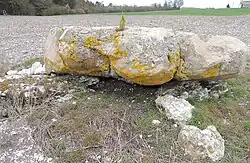 Image illustrative de l’article Dolmen des Tatonneries