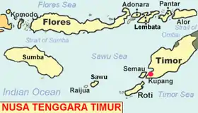 Carte des Petites îles de la Sonde orientales montrant Savu.