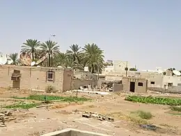 Un quartier de l'Oasis Al Buraymi