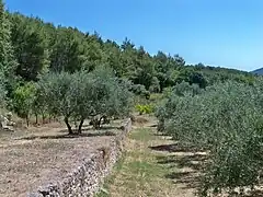 Luberon (France)