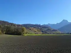 Cultures en plaine, vignobles et forêt sur les coteaux.