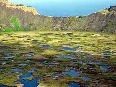 Cratère du volcan Rano Kao à Orongo.