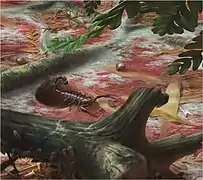 Reconstitution d’Opsieobuthus tungeri dans son environnement