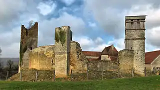 Les courtines et les tours du château.