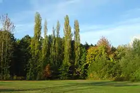 Le parc de l’université Paris-Sud.