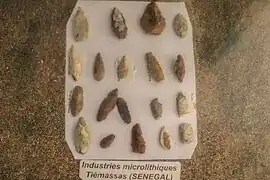 Outils du Paléolithique supérieur de Tiemassas.