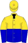 Yellow and blue halved (horizontal), yellow cap