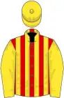Red and yellow stripes, yellow sleeves and cap