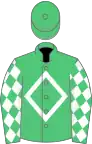 Verte un losange blanc, manches losangées vert et blanc, toque verte