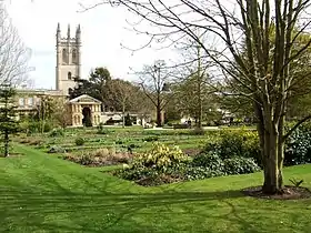 Image illustrative de l’article Jardin botanique de l'université d'Oxford