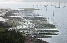 Parc à huîtres dans la rivière d'Étel.