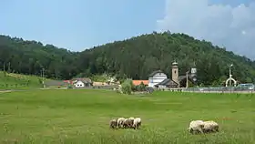 Kaluđerica (Petrovo)