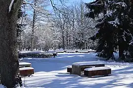 Pärnu Rannapark, vu de Supeluse tänav