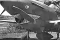 Un Curtiss P-40 Warhawk du 29e escadron de chasse sur la base de l’armée de terre de Madden en mai 1942.