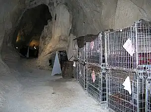 Bouteilles de vin mousseux entreposées dans la galerie du Tanone.
