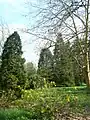 L'arboretum de Montmorency.