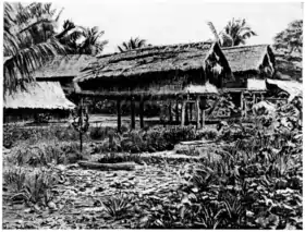 Dessin de maisons sur pilotis - Extrait de "L’Homme et la Terre" de Élisée Reclus - 1905