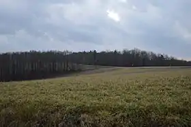 Washington Township (comté de Clarion, Pennsylvanie)