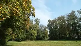 Borkowo Wielkie (Mazovie)