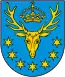 Blason de Powiat de Kozienice