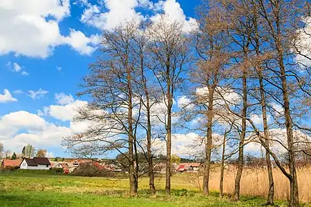 Réserve naturelle de Jeníkov.