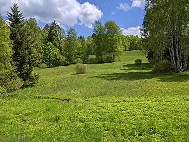 Zone naturelle protégée de Bažiny.
