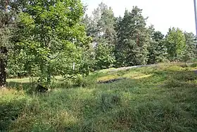 Image illustrative de l’article Parc de Pakila