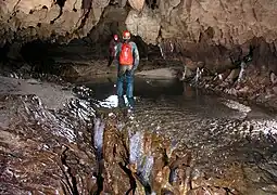 Formes de corrosion dans la Cueva de Palestina, Nueva Cajamarca, Rioja, San Martin, Pérou.