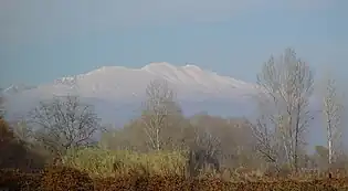 Rangée d'arbres dénudés et en arrière-plan, crête de montagne enneigée