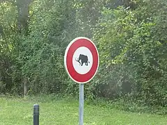 Attention aux mammouths.