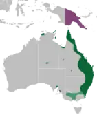 Répartition de Papilio aegeus aegeus (en vert et vert clair : présence temporaire) et de Papilio aegeus ormenus (violet)